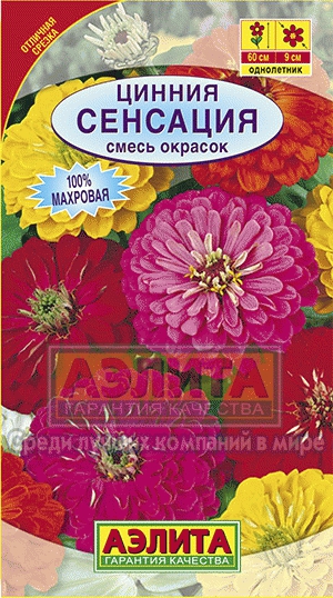 Цинния Сенсация, смесь, махровая (Аэлита) Ц