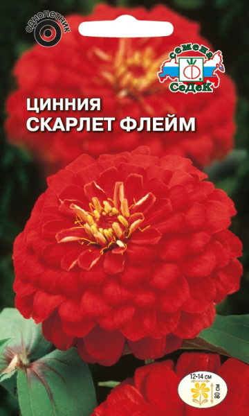 Цинния Скарлет Флейм (георгиновидная, огненно-красная) (Седек) Ц