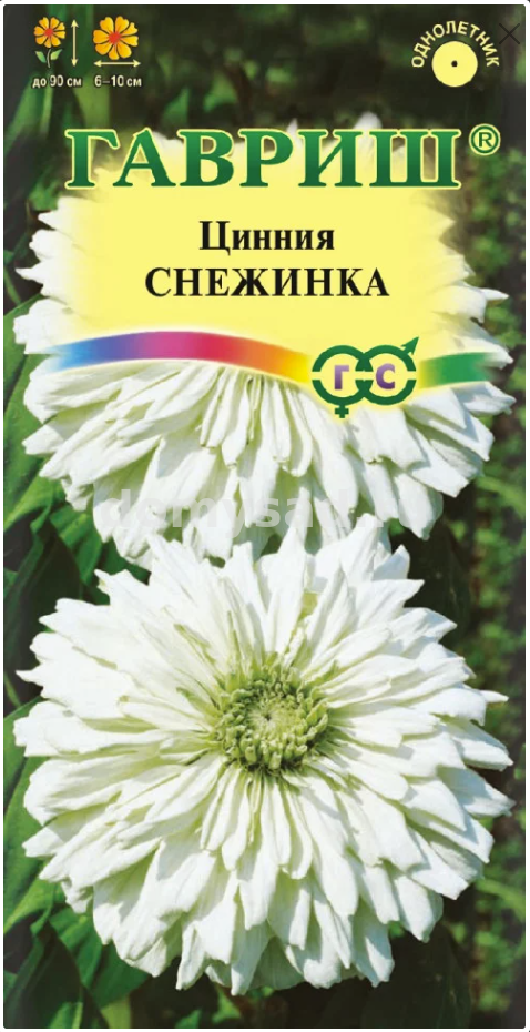 Цинния Снежинка (Гавриш) Ц