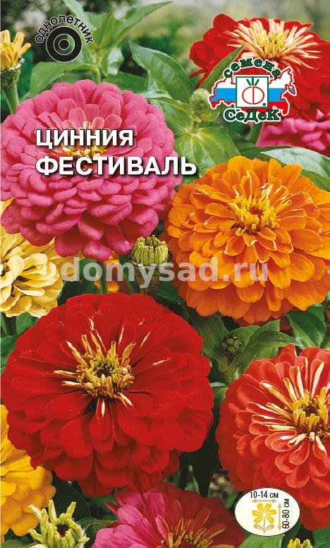 Цинния Фестиваль (георгиновидная, смесь цветов) (Седек) Ц