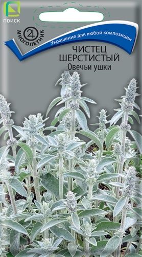 Чистец шерстистый Овечьи ушки (Поиск) Ц