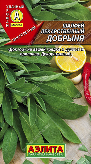 Шалфей Лекарственный Добрыня (Аэлита) Ц