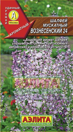 Шалфей Мускатный Вознесенский 24 (Аэлита) Ц