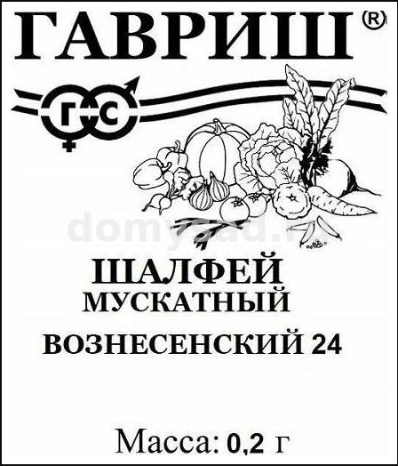 Шалфей Мускатный Вознесенский 24 0,2г (Гавриш) Б