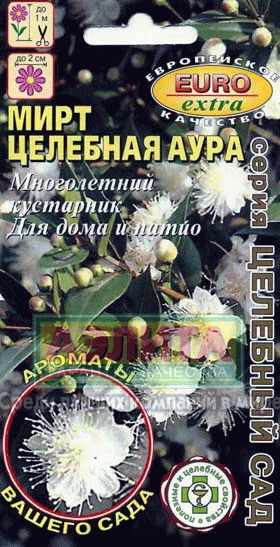 Мирт Целебная аура(Аэлита) Ц