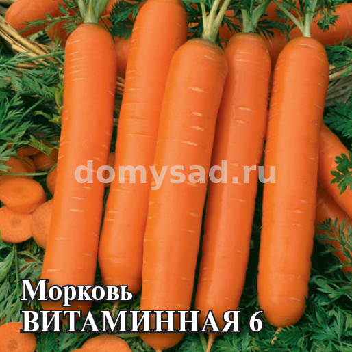 Морковь Витаминная 6, 100гр. (проф.упаковка) (Гавриш) Ц