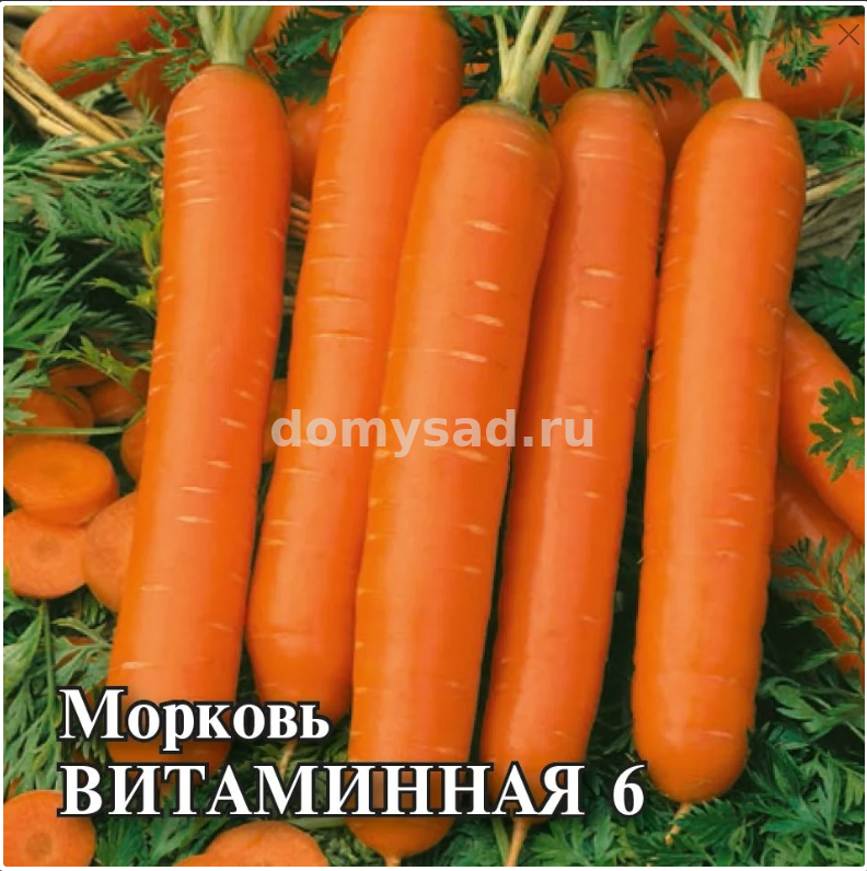 Морковь Витаминная 6, 25гр. (проф.упаковка) (Гавриш) Ц