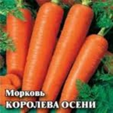 Морковь Королева Осени 25гр. (проф.упаковка) (Гавриш) Ц