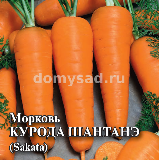 Морковь Курода Шантанэ 25гр. (проф.упаковка) (Гавриш)