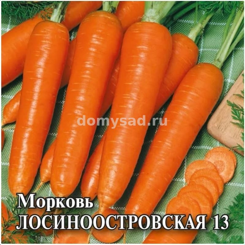 Морковь Лосиноостровская 13 100,0г. (Гавриш) Ц