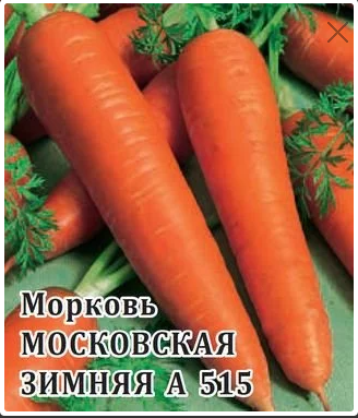 Морковь Московская Зимняя А515 (проф.упаковка) 25гр. (Гавриш)