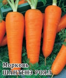 Морковь Шантенэ Роял 100г.(проф.упаковка) (Гавриш) Ц