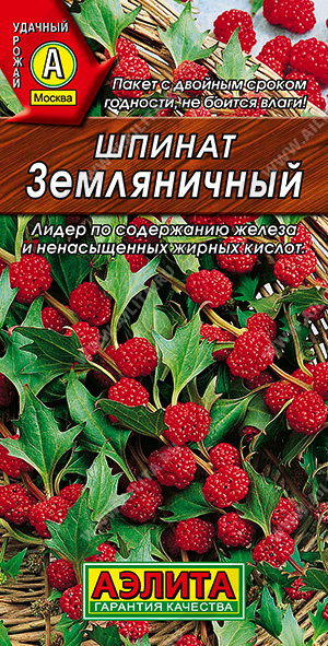 Шпинат Земляничный (Аэлита) Ц