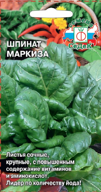 Шпинат Маркиза (Седек) Ц