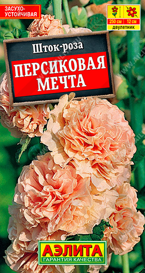 Шток-Роза Персиковая мечта (Аэлита) Ц