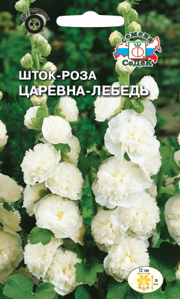 Шток-Роза Царевна Лебедь (белая) (Седек) Ц