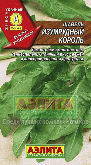 Щавель Изумрудный король (Аэлита) Ц