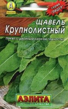 Щавель Крупнолистный (Аэлита ) ЛИДЕР