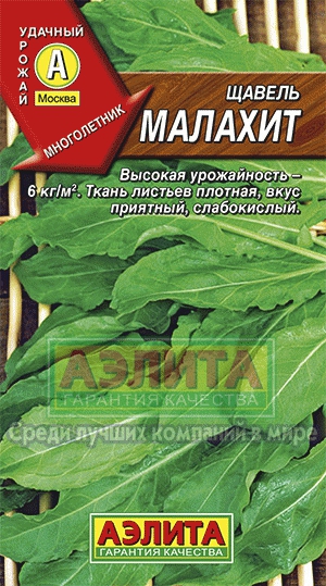 Щавель Малахит (Аэлита) Ц