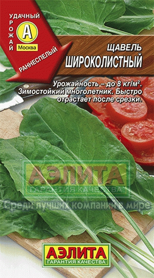 Щавель Широколистный (Аэлита) Ц