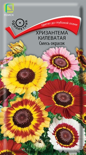 Хризантема килеватая Смесь окрасок (Поиск) Ц