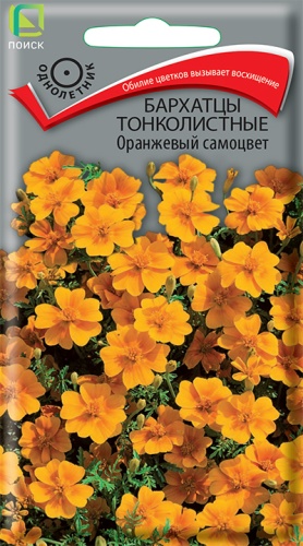 Бархатцы Оранжевый самоцвет тонколистные (Поиск) Ц