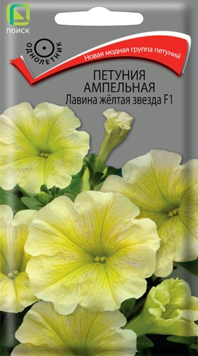 Петуния Лавина жёлтая звезда F1 ампел. (Поиск) Ц