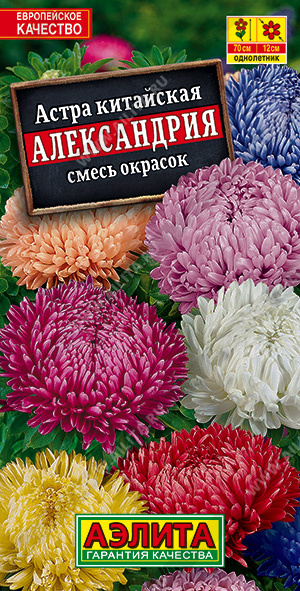 а.Александрия смесь окрасок,70см. (Аэлита) Ц