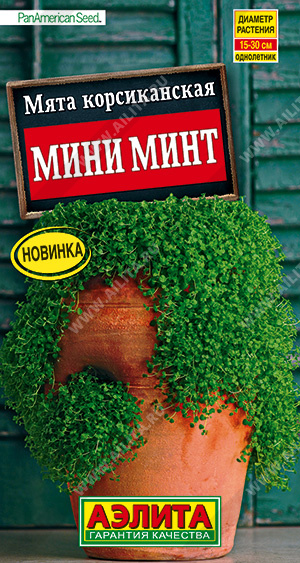 Мята Корсиканская Мини Минт (Аэлита) Ц