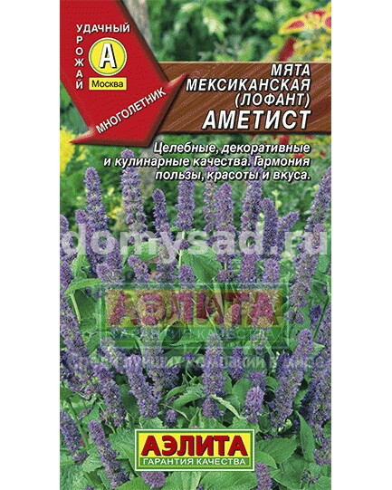 Мята Мексиканская Аметист (Аэлита) Ц