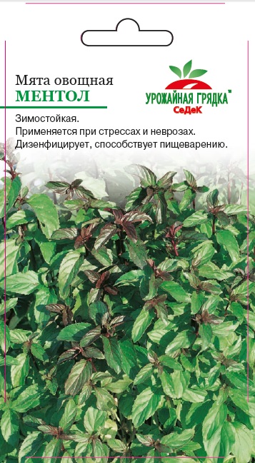 Мята Ментол (Седек) Ц