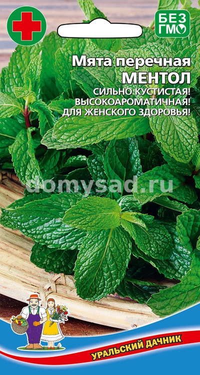 Мята перечная Ментол (Уральский Дачник) Ц