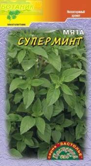 Мята Суперминт (Цветущий Сад) Ц