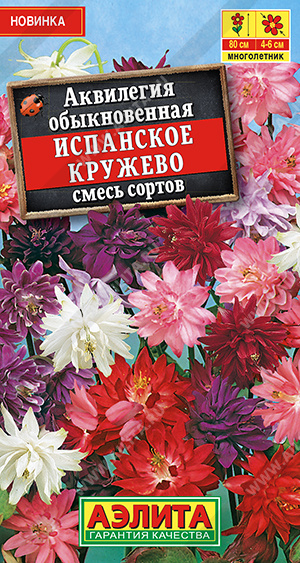 Аквилегия Испанское кружево смесь сортов (Аэлита) Ц