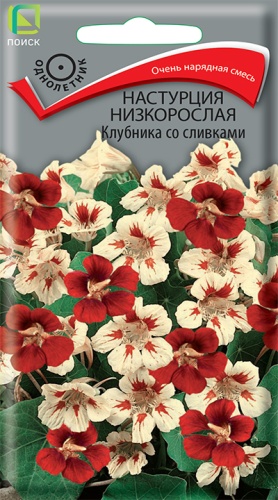 Настурция Клубника со сливками низкорослая (Поиск) Ц