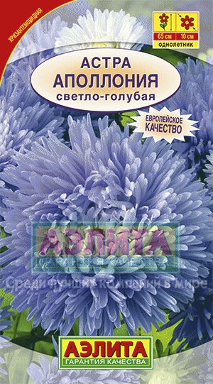 а.Аполлония светло-голубая 65см.,ГУСТОМАХРОВАЯ (Аэлита) Ц