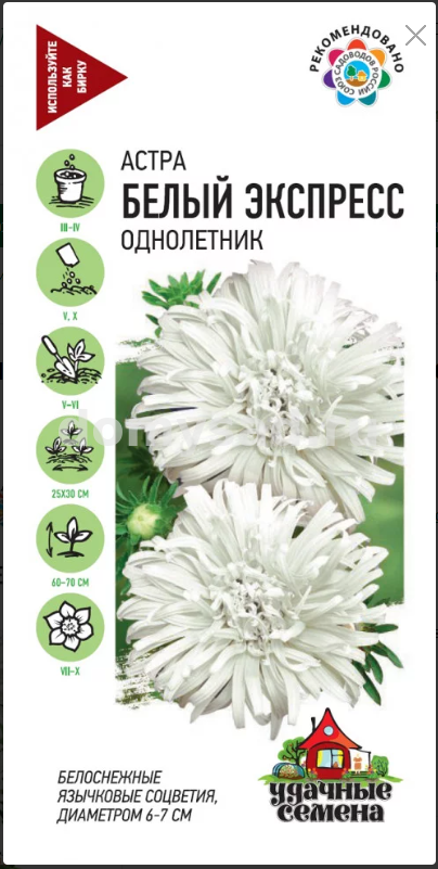 а.Белый экспресс 30-4см.,МАХРОВАЯ,ПОЛУСФЕРИЧЕСКАЯ Удачные семена (Гавриш) Ц