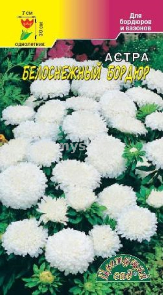 а.Бордюр Белоснежный 30см.,ГУСТОМАХРОВАЯ,НИЗКОРОСЛАЯ (Цветущий Сад) Ц