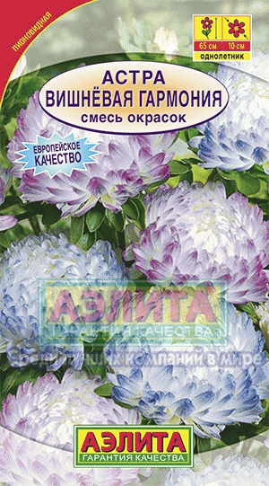 а.Вишневая гармония смесь окрасок 55-65.,НЕЖНО СИНЯЯ-ФИОЛЕТОВАЯ,ПИОНОВИДНАЯ (Аэлита) Ц