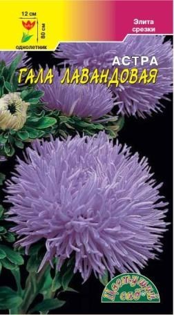 а.Гала Лавандовая густомахровая 80см. (Цветущий Сад) Ц