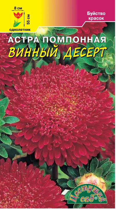 а.Десерт Винный, помпонная 55см.,ОРИГИНАЛЬНАЯ ОКРАСКА (Цветущий Сад) Ц