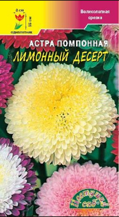 а.Десерт Лимонный, помпонная, 55см.,ОРИГИНАЛЬНАЯ ОКРАСКА (Цветущий Сад) Ц