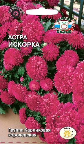 а.Искорка карликовая малиново-розовая (Седек) Ц