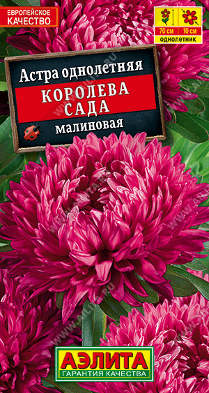 а.Королева сада Малиновая (Аэлита) Ц