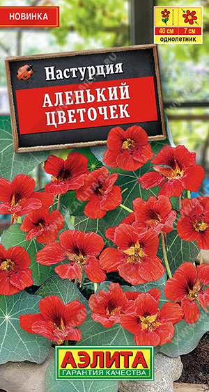 Настурция Аленький цветочек (Аэлита) Ц