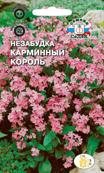 Незабудка Карминный король (Седек) Ц