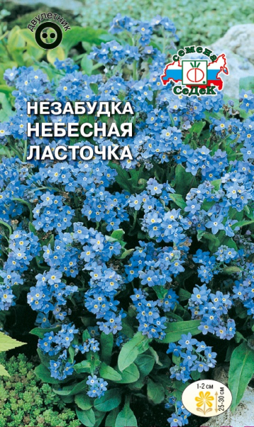 Незабудка Небесная ласточка (Седек) Ц