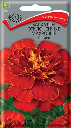 Бархатцы Кармен махровые отклоненные (Поиск) Ц