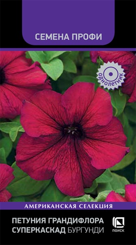 Петуния Суперкаскад Бургунди, грандифлор. (Поиск) Ц