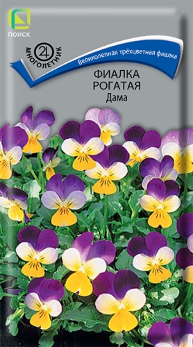 Виола рогатая Дама (Поиск) Ц